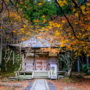 【滋賀】比叡山延曆寺橫川中堂、西塔常行堂和法華堂