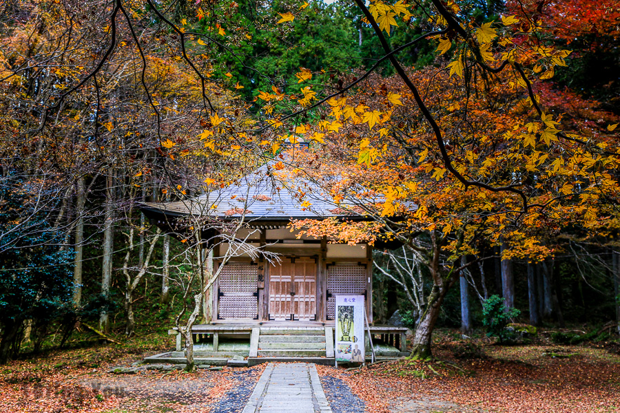 【滋贺】比叡山延历寺横川中堂、西塔常行堂和法华堂