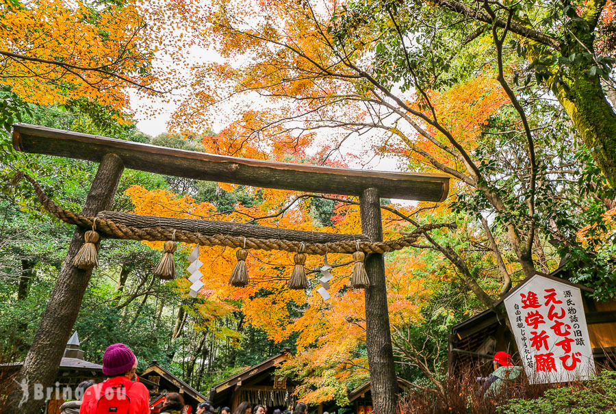 野宫神社枫叶