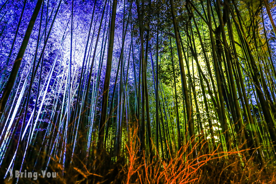 【嵐山花燈路】漫步京都夢幻竹林小徑～渡月橋點燈，感受關西三大燈會