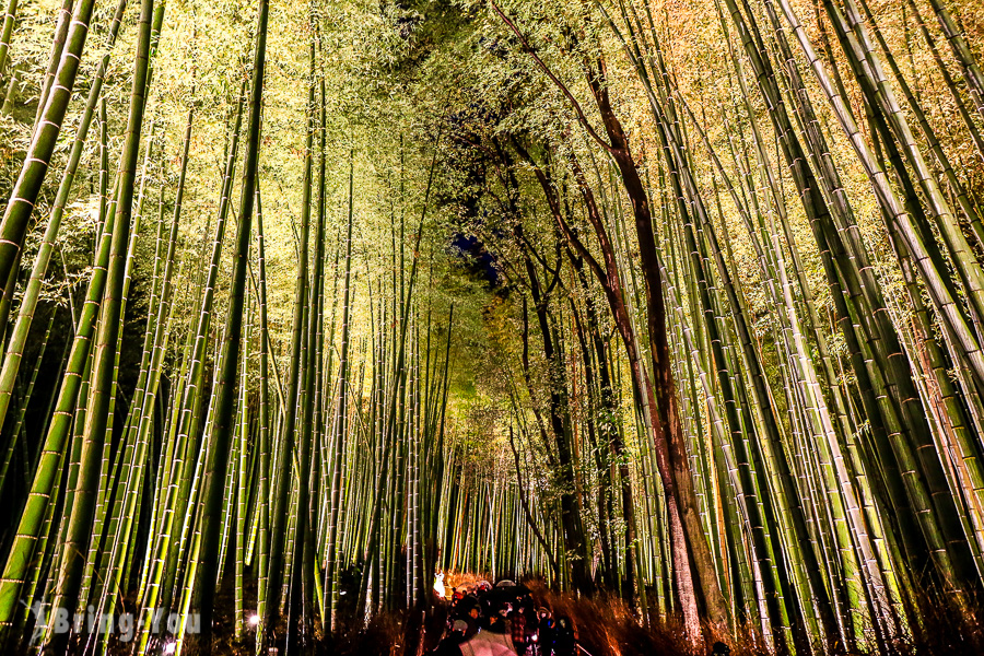 岚山花灯路