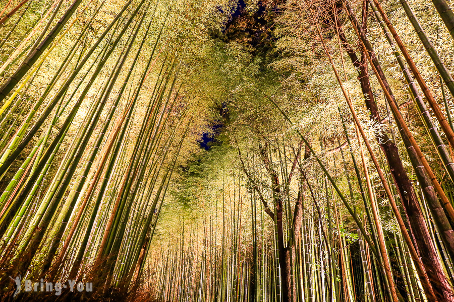 岚山花灯路