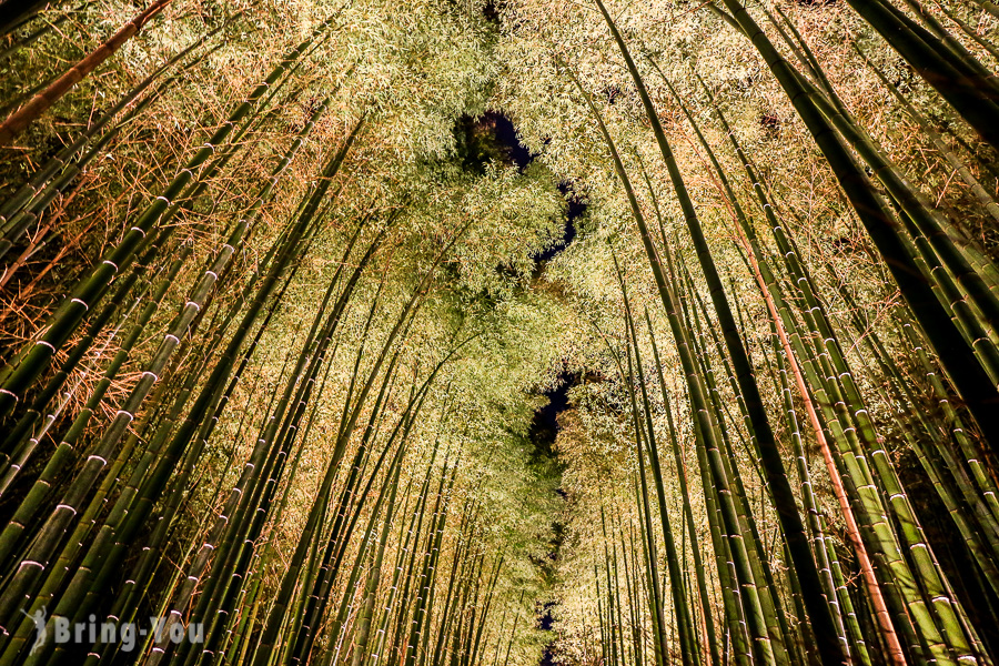 嵐山花燈路