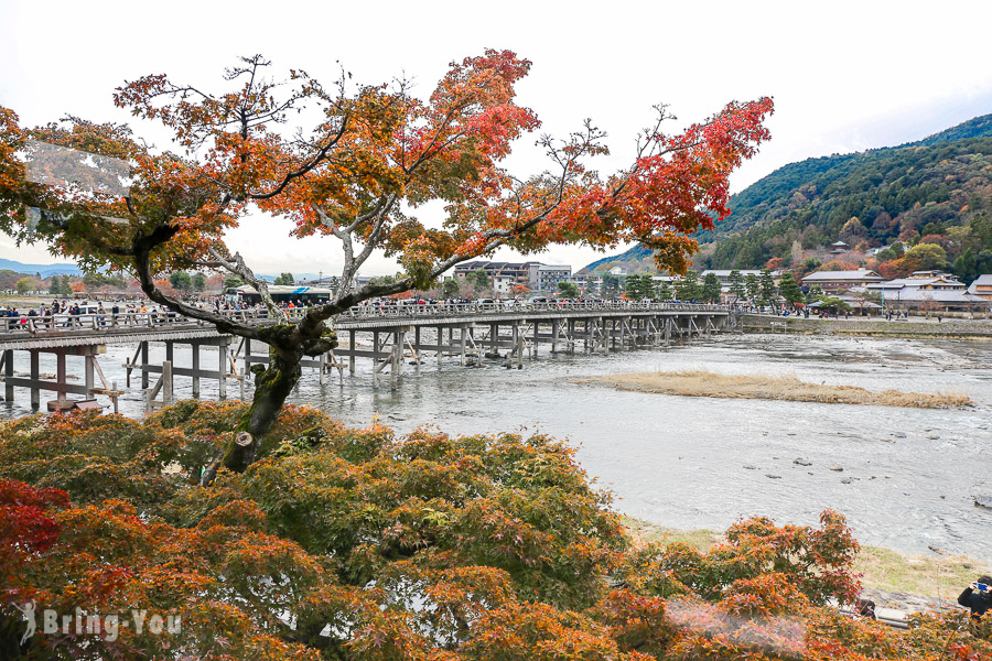 蕎麥麵 嵐山よしむら