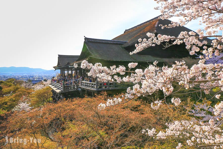 清水寺樱花