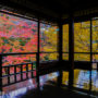【2026京都瑠璃光院最新預約】秋季紅葉特別拜觀抽籤教學｜明信片申請、開放時間與入場須知