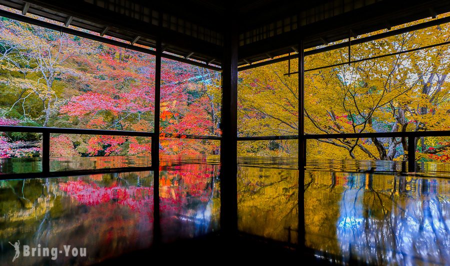 京都賞楓景點