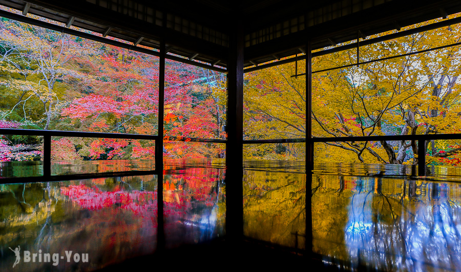 京都瑠璃光院楓紅