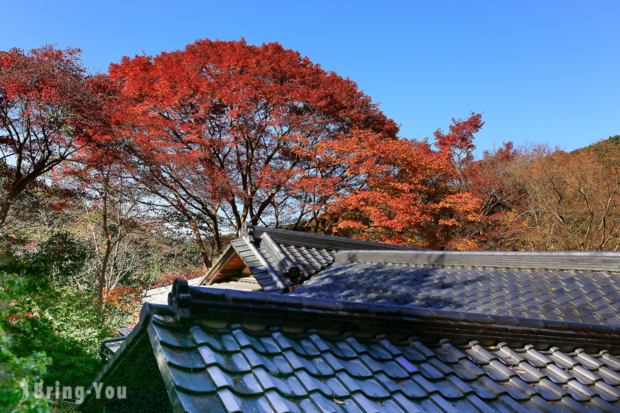 京都瑠璃光院楓紅