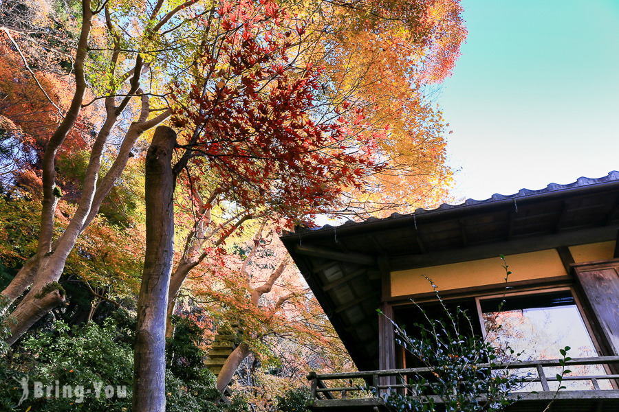 京都瑠璃光院楓紅