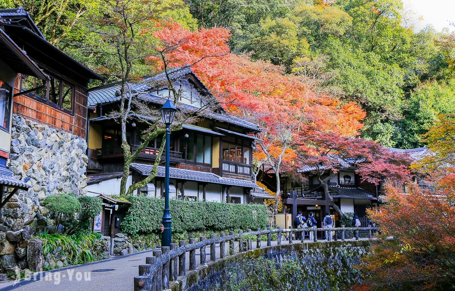 【大阪近郊景點】箕面瀑布，漫步箕面公園森林河谷步道賞楓葉（含交通攻略）