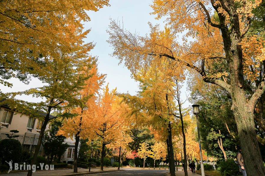 大阪城天守閣-大阪城公園