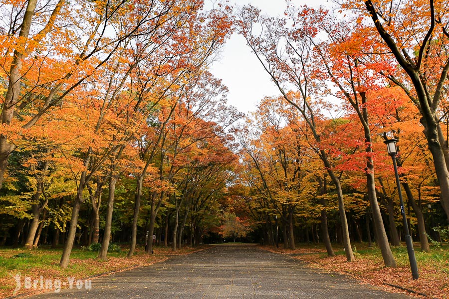 大阪城天守閣-大阪城公園