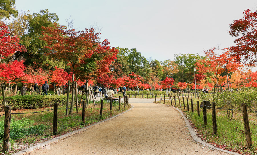 大阪城天守閣-大阪城公園