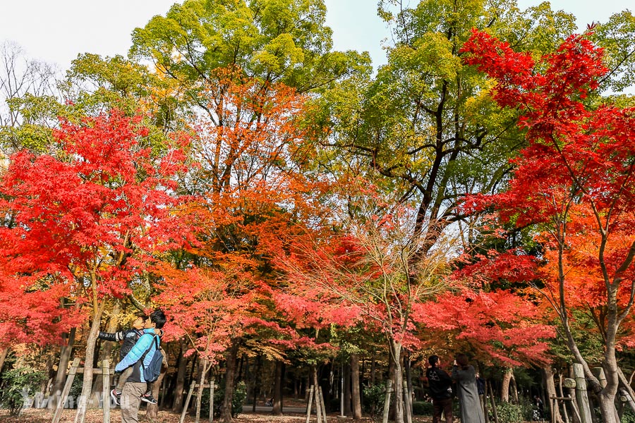 大阪城天守閣-大阪城公園