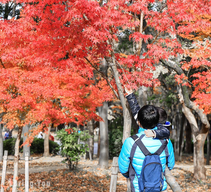 大阪城天守閣-大阪城公園