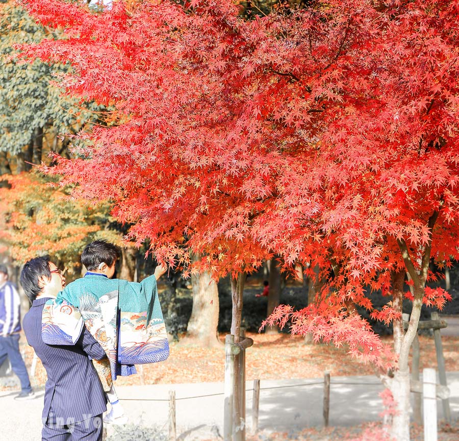 大阪城天守閣-大阪城公園