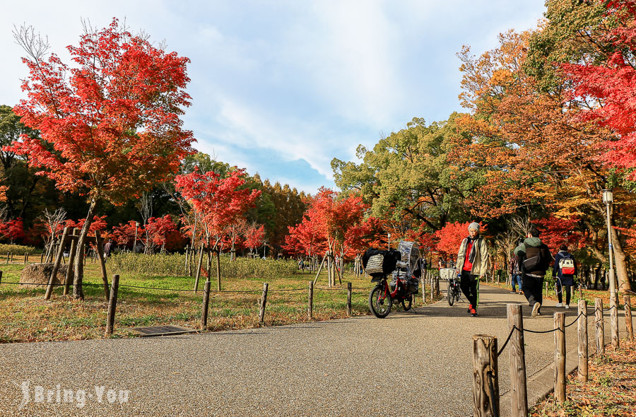 大阪城天守閣-大阪城公園