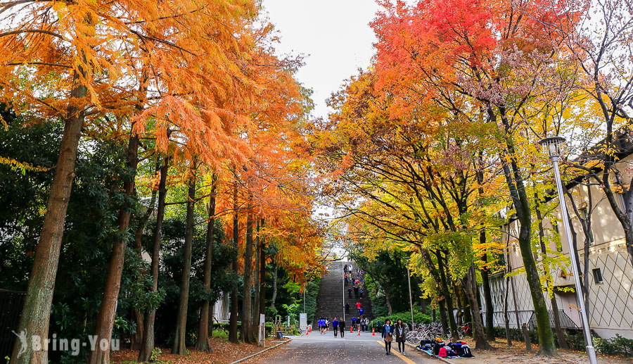 大阪城天守閣-大阪城公園