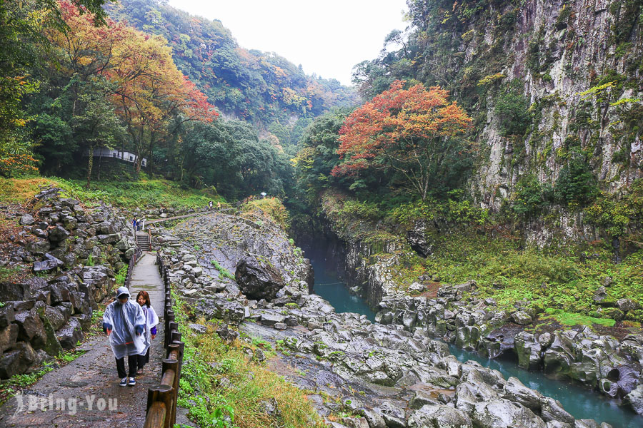 高千穗神社游步道