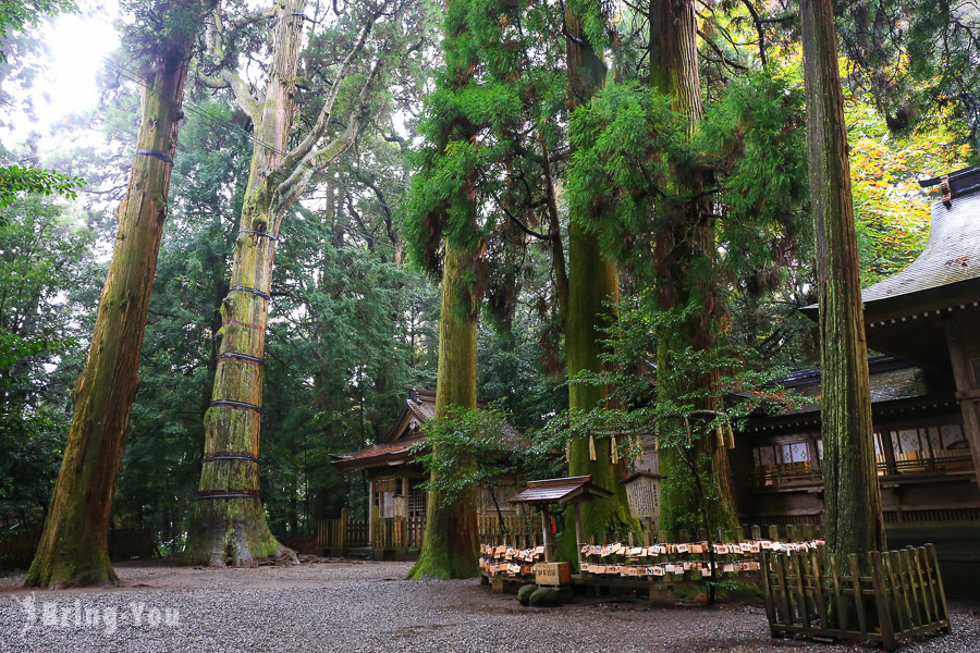 高千穗神社