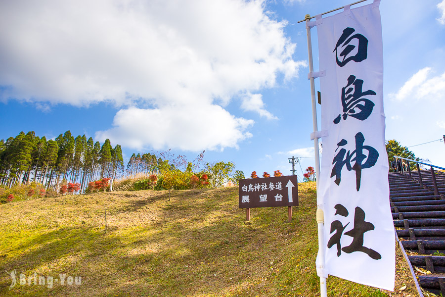 九重夢大吊白鳥神社展望台