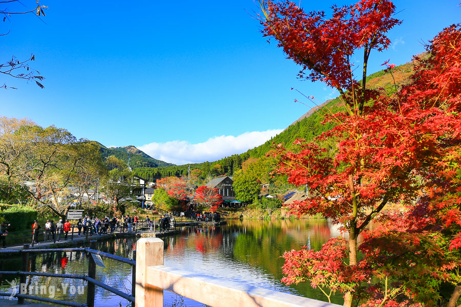 【由布院绝美仙境】金鳞湖：枫叶、黄昏、没有晨雾的水上神社