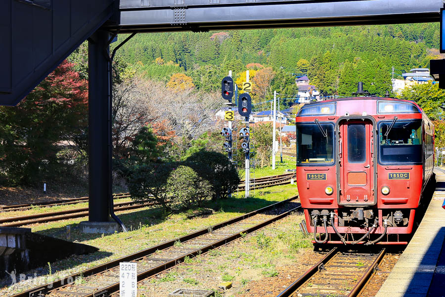 JR九州铁路周游券(JR Kyushu Rail Pass)