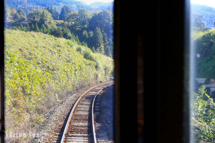 JR九州鐵路周遊券(JR Kyushu Rail Pass)