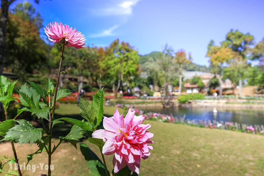 茵他儂國家公園