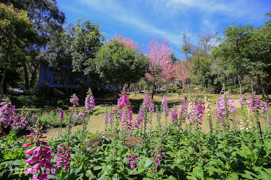 茵他儂國家公園