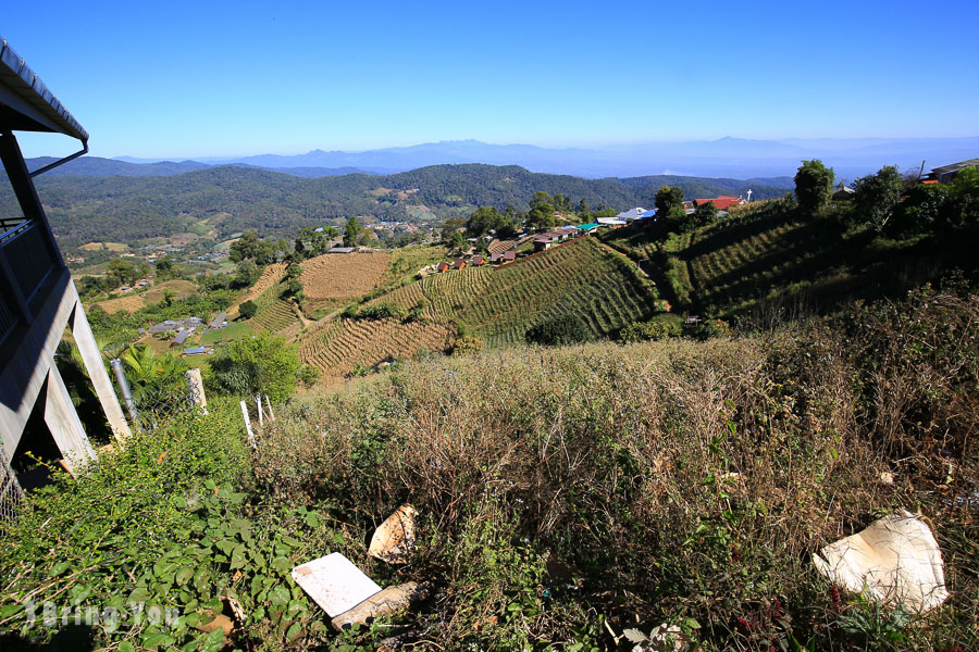 Mon Jam 泰北山区梯田