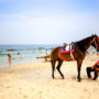 【泰国华欣景点】华欣海滩 Hua Hin Beach、Suan Son Pradipat Beach 秘密海滩推荐