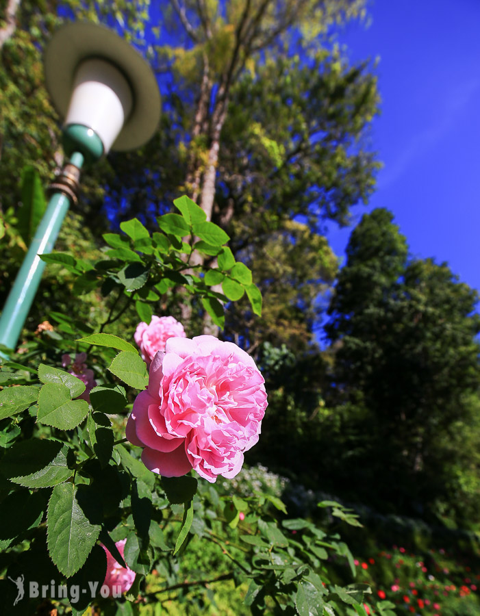 蒲屏夏宮