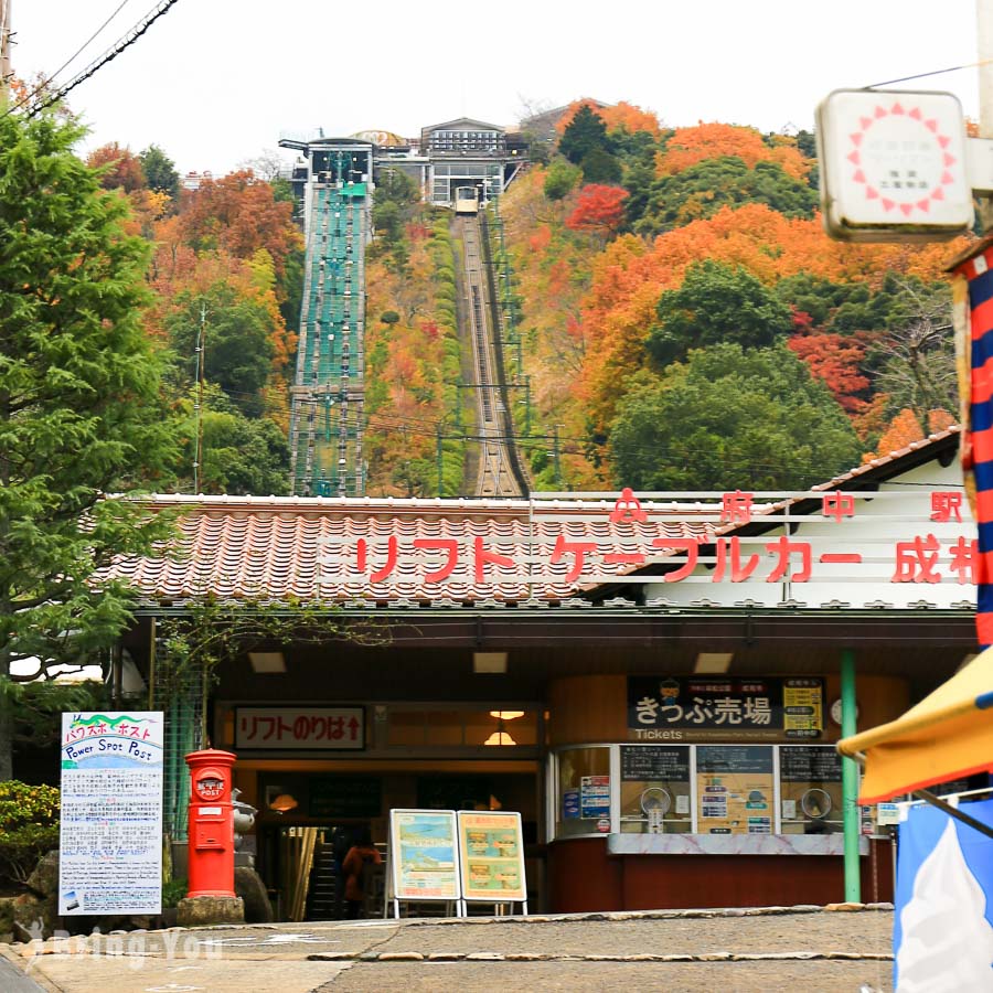 傘松公園