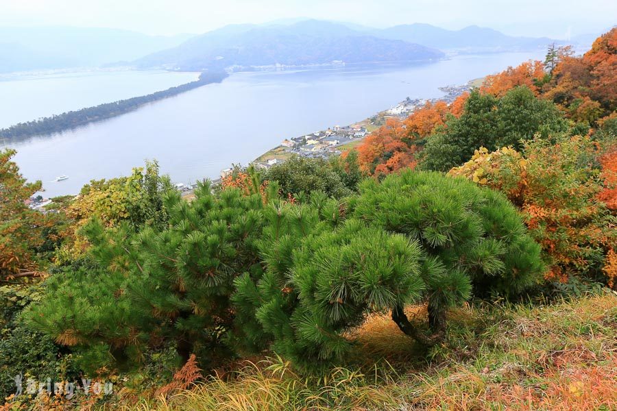 伞松公园