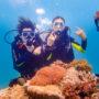 【长滩岛潜水】悠游海底世界，一览底栖生物的日常