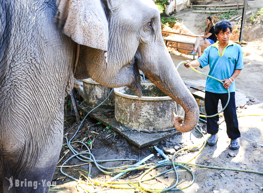 清邁湄旺國家公園