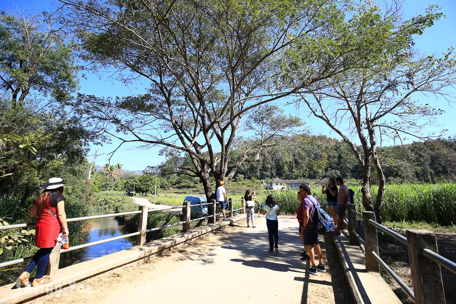 清邁湄旺國家公園