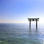【滋賀】白鬚神社攻略｜近江高島站前往琵琶湖水上鳥居交通：計程車、腳踏車指南
