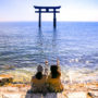【日本滋贺｜琵琶湖旅游景点】白髭神社、近江八幡、彦根城一日游