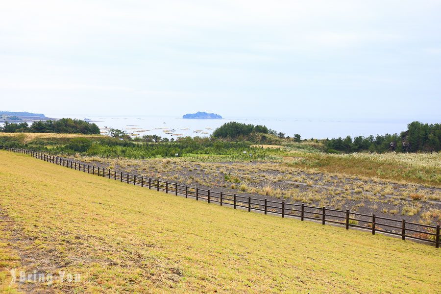 鹿兒島櫻島