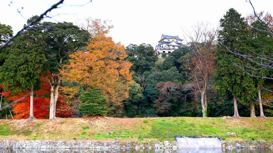 滋贺琵琶湖旅游景点