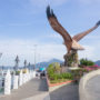 【蘭卡威瓜鎮】蘭卡威瓜鎮景點之巨鷹廣場景觀、免稅購物商場
