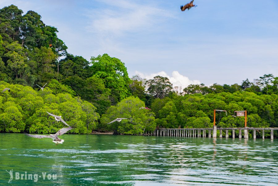 狮子岛 Pulau Singa Besar