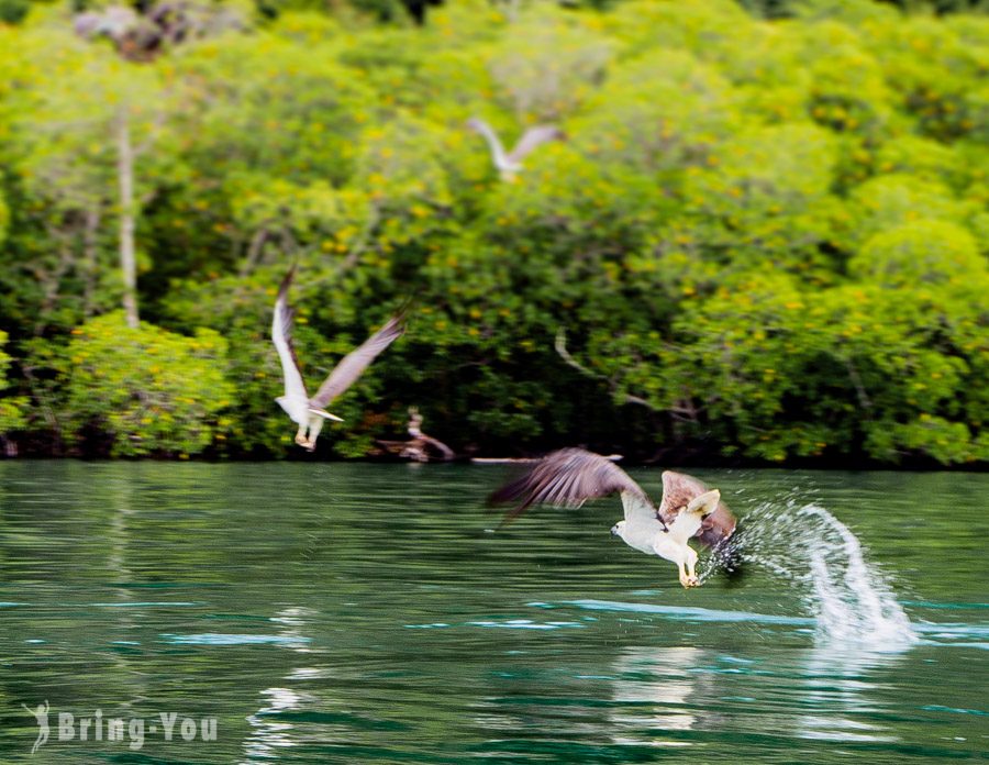 獅子島 Pulau Singa Besar