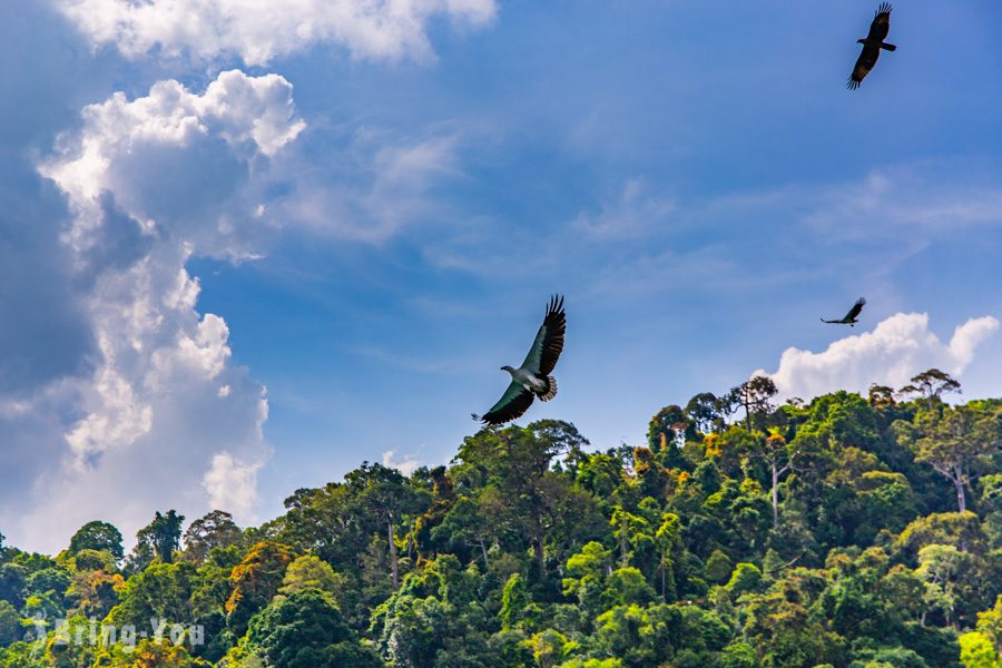 獅子島 Pulau Singa Besar