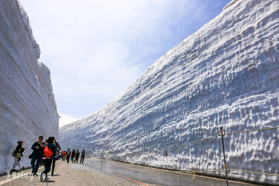 【立山黑部自由行】2021開山資訊、阿爾卑斯山脈路線雪牆散步一日遊旅行團