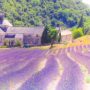 【南法自由行】普羅旺斯薰衣草路線自助全攻略：南法旅遊景點、交通、花期、住宿推薦