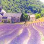 【南法】普罗旺斯薰衣草路线自助全攻略：南法旅游景点、交通、花期、住宿推荐